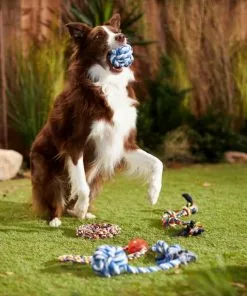 Frisco Rope Multipack for Medium Dog Toys, 5 count -Dog Cat Corner 243978 PT2. SY630 V1635439307