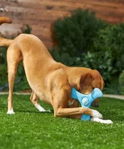 Frisco Plastic Tri-Flyer Dog Toy -Dog Cat Corner 245910 PT2. SY630 V1607371960