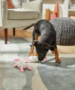 Frisco Bunny Plush Multipack Puppy Toy, 2 count -Dog Cat Corner 245916 PT2. SY630 V1607371940