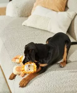 Frisco Lion Plush Multipack Puppy Toy, 2 count 7 Frisco Lion Plush Multipack Puppy Toy, 2 count -Dog Cat Corner 245918 PT2. SY630 V1607372049