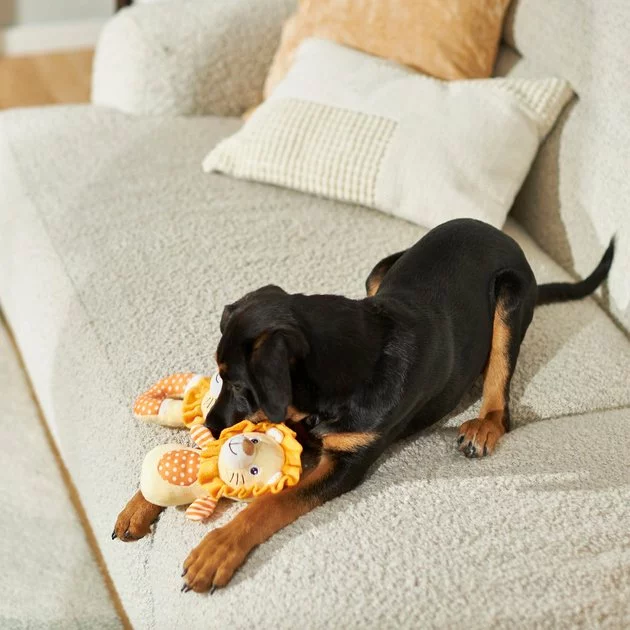 Frisco Lion Plush Multipack Puppy Toy, 2 count 5 Frisco Lion Plush Multipack Puppy Toy, 2 count - Image 3