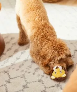 Frisco Lion Plush Squeaky Dog Toy -Dog Cat Corner 245926 PT2. SY630 V1607372008