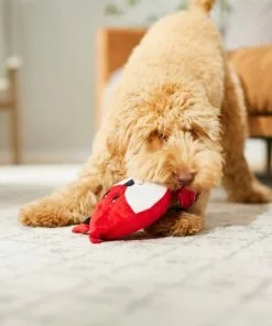 Frisco Fox Disc Plush Squeaky Dog Toy -Dog Cat Corner 245928 PT2. SY630 V1607371965