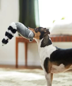 Frisco Raccoon Disc Plush Squeaky Dog Toy 7 Frisco Raccoon Disc Plush Squeaky Dog Toy -Dog Cat Corner 245930 PT2. SY630 V1607372013