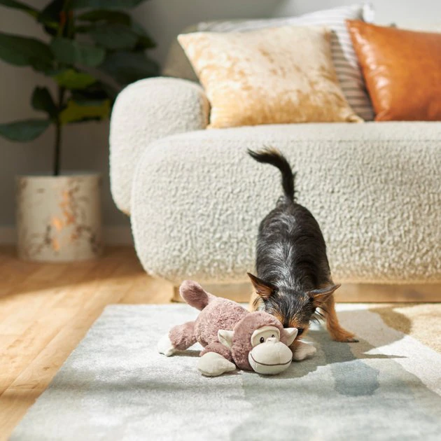 Frisco Plush Squeaking Monkey Dog Toy 5 Frisco Plush Squeaking Monkey Dog Toy - Image 3