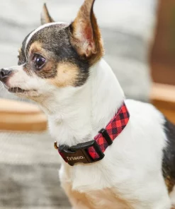 Frisco Buffalo Check Dog Collar 9 Frisco Buffalo Check Dog Collar -Dog Cat Corner 246989 PT3. SY630 V1606864045