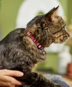 Frisco Red Boho Cat Collar -Dog Cat Corner 247054 PT4. SY630 V1606870053