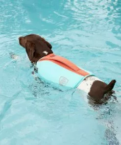 Frisco Active Dog Life Jacket 19 Frisco Active Dog Life Jacket -Dog Cat Corner 247890 PT8. SY630 V1616505897