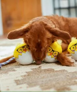 Frisco Easter Hipster Chicks Plush with Rope Dog Toy -Dog Cat Corner 248031 PT5. SY630 V1608767875