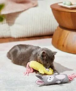 Frisco Easter Bunny & Chick Kicker Cat Toy, 2 count 7 Frisco Easter Bunny & Chick Kicker Cat Toy, 2 count -Dog Cat Corner 248055 PT5. SY630 V1608763362