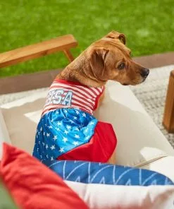 Frisco USA Dog & Cat Dress -Dog Cat Corner 248659 PT4. SY630 V1632418898