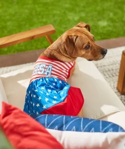 Frisco USA Dog & Cat Dress -Dog Cat Corner 248659 PT7. SY630 V1614029540