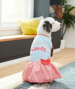 Frisco Sweet Like Candy Dog & Cat Dress -Dog Cat Corner 248666 PT7. SY630 V1614376378