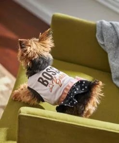 Frisco Boss Babe Dog & Cat Dress -Dog Cat Corner 248673 PT7. SY630 V1613586417