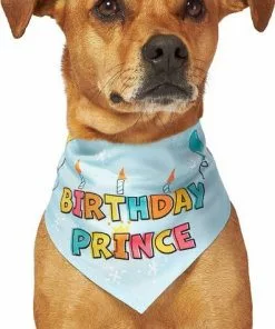 Frisco Birthday Prince Dog & Cat Bandana -Dog Cat Corner 248694 PT3. SY630 V1633065977