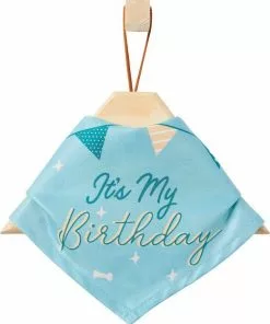 Frisco It's My Birthday Dog & Cat Bandana, Blue