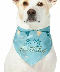 Frisco It's My Birthday Dog & Cat Bandana, Blue -Dog Cat Corner 248696 PT2. SY630 V1633069886