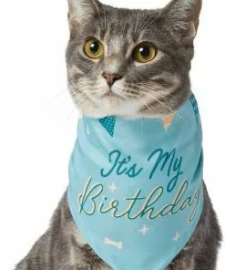 Frisco It's My Birthday Dog & Cat Bandana, Blue -Dog Cat Corner 248696 PT3. SY630 V1633061530