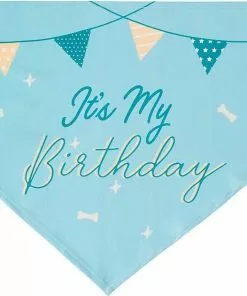Frisco It's My Birthday Dog & Cat Bandana, Blue -Dog Cat Corner 248696 PT4. SY630 V1633057291