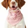 Frisco It's My Birthday Dog & Cat Bandana, Pink -Dog Cat Corner 248702 MAIN. SY630 V1614611594