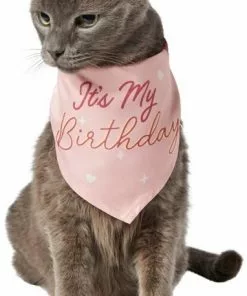 Frisco It's My Birthday Dog & Cat Bandana, Pink -Dog Cat Corner 248702 PT2. SY630 V1614611844