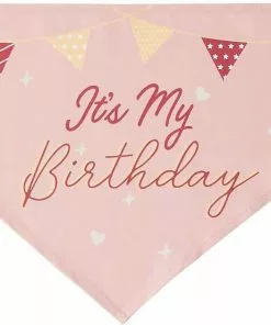 Frisco It's My Birthday Dog & Cat Bandana, Pink -Dog Cat Corner 248702 PT4. SY630 V1633068696