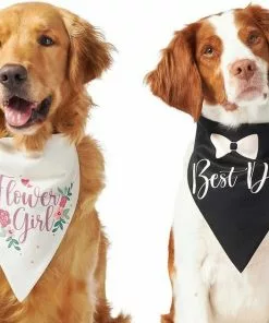 Frisco Wedding Reversible Dog & Cat Bandana -Dog Cat Corner 248712 PT2. SY630 V1632429387