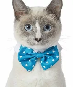 Frisco Polka Dot Dog & Cat Bow Tie, Teal 9 Frisco Polka Dot Dog & Cat Bow Tie, Teal -Dog Cat Corner 248715 PT2. SY630 V1613767316