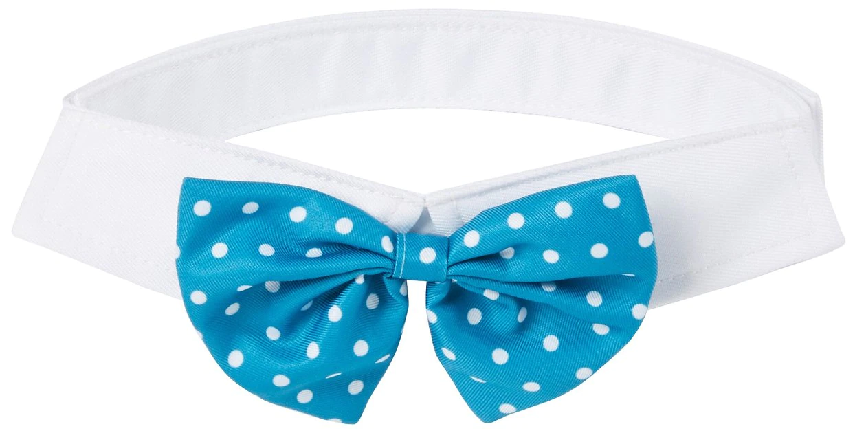 Frisco Polka Dot Dog & Cat Bow Tie, Teal 6 Frisco Polka Dot Dog & Cat Bow Tie, Teal - Image 4