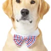 Frisco Plaid Dog & Cat Bow Tie, Red & Blue 1 Frisco Plaid Dog & Cat Bow Tie, Red & Blue -Dog Cat Corner 248722 MAIN. SY630 V1613766402