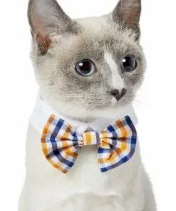 Frisco Plaid Dog & Cat Bow Tie, Orange & Blue 9 Frisco Plaid Dog & Cat Bow Tie, Orange & Blue -Dog Cat Corner 248723 PT2. SY630 V1613767680