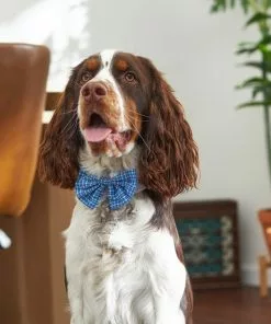 Frisco Plaid Dog & Cat Bow Tie, Blue 9 Frisco Plaid Dog & Cat Bow Tie, Blue -Dog Cat Corner 248727 PT7. SY630 V1614362538