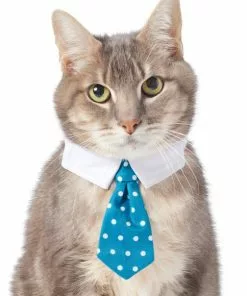 Frisco Polka Dot Dog & Cat Neck Tie -Dog Cat Corner 248729 PT2. SY630 V1614368548