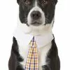 Frisco Plaid Dog & Cat Neck Tie, Orange & Blue -Dog Cat Corner 248737 MAIN. SY630 V1614365517