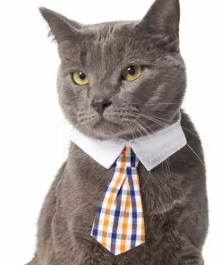 Frisco Plaid Dog & Cat Neck Tie, Orange & Blue -Dog Cat Corner 248737 PT2. SY630 V1614365487
