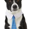 Frisco Plaid Dog & Cat Neck Tie, Blue Plaid 2 Frisco Plaid Dog & Cat Neck Tie, Blue Plaid -Dog Cat Corner 248738 MAIN. SY630 V1614365493