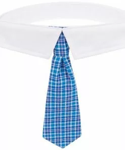 Frisco Plaid Dog & Cat Neck Tie, Blue Plaid -Dog Cat Corner 248738 PT3. SY630 V1614366236