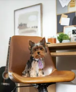 Frisco Plaid Dog & Cat Neck Tie, Red & Blue 9 Frisco Plaid Dog & Cat Neck Tie, Red & Blue -Dog Cat Corner 248739 PT7. SY630 V1614366128