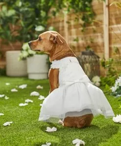Frisco Formal Dog Wedding Dress 15 Frisco Formal Dog Wedding Dress -Dog Cat Corner 248743 PT7. SY630 V1614118361