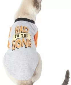 Frisco Bad to the Bone Dog & Cat T-Shirt -Dog Cat Corner 248803 PT2. SY630 V1614119485