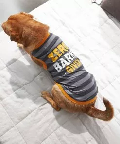 Frisco Zero Barks Given Dog & Cat T-Shirt -Dog Cat Corner 248838 PT7. SY630 V1644451885