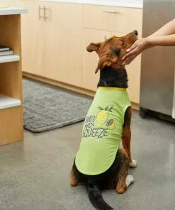 Frisco Mama's Main Squeeze Dog & Cat T-Shirt 13 Frisco Mama's Main Squeeze Dog & Cat T-Shirt -Dog Cat Corner 248852 PT5. SY630 V1644960403