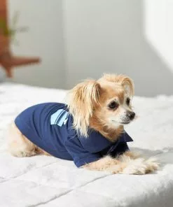 Frisco Dog & Cat Polo Shirt with Accent Pocket -Dog Cat Corner 248880 PT7. SY630 V1644960683