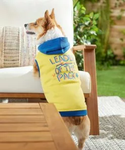 Frisco Leader of the Pack Dog & Cat Hoodie 14 Frisco Leader of the Pack Dog & Cat Hoodie -Dog Cat Corner 248905 PT5. SY630 V1637682701