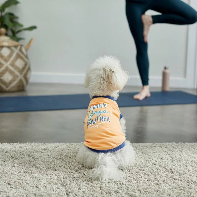 Frisco Mama's Yoga Pawtner Dog & Cat T-Shirt 8 Frisco Mama's Yoga Pawtner Dog & Cat T-Shirt - Image 6