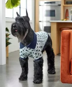 Frisco Sea Turtles Dog & Cat Polo Shirt -Dog Cat Corner 248984 PT6. SY630 V1624593457