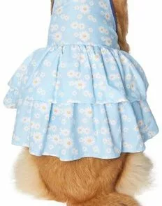 Frisco Blue Daisies Dog & Cat Dress 10 Frisco Blue Daisies Dog & Cat Dress -Dog Cat Corner 249044 PT2. SY630 V1637691458