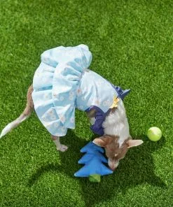 Frisco Blue Daisies Dog & Cat Dress 13 Frisco Blue Daisies Dog & Cat Dress -Dog Cat Corner 249044 PT7. SY630 V1644464818