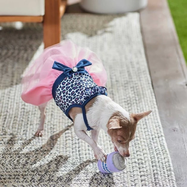 Frisco Leopard Print Dog & Cat Dress 8 Frisco Leopard Print Dog & Cat Dress - Image 6