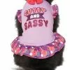 Frisco Cute & Sassy Dog & Cat Dress 2 Frisco Cute & Sassy Dog & Cat Dress -Dog Cat Corner 249072 MAIN. SY630 V1644447754